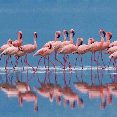 Sa Domu Semesterbostad Quartu SantʼElena